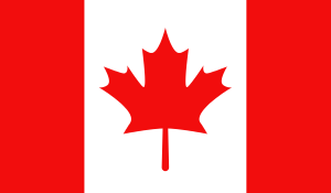 A Guide For Canadian Investors: Steps To Access U.S. Real Estate